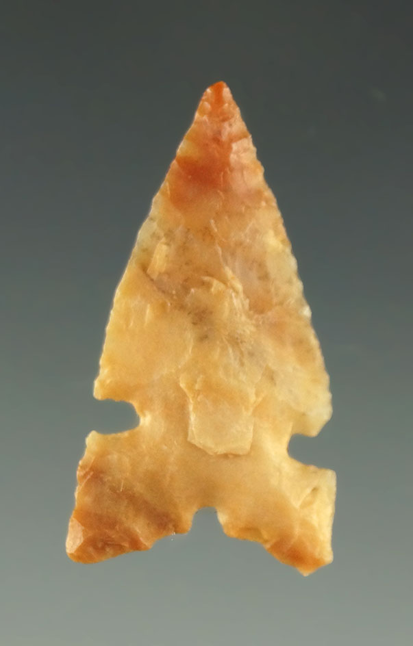 1 1/8" Desert Sierra point in very good condition made from attractive material - Washington.