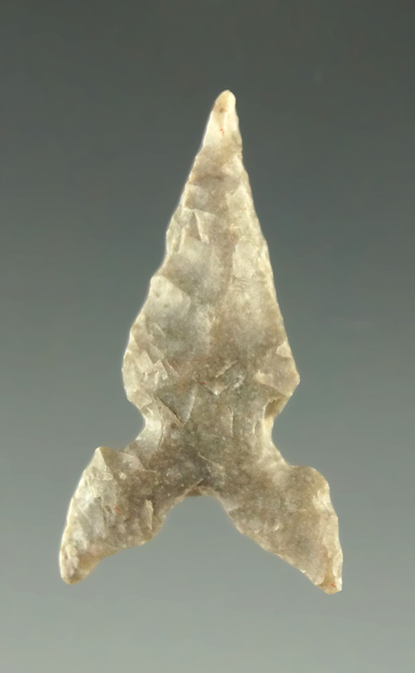 1" Toyah point - Texas from the collection of Charles Shewey, David Bogle. Jackson COA.