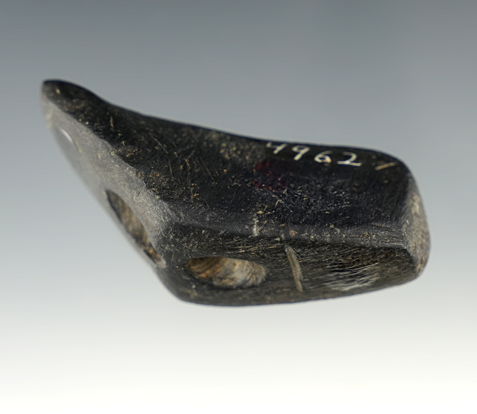 Main artifact image