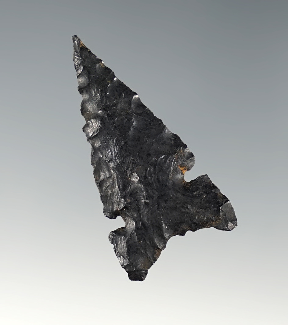 Superb 1 1/2" Fox Ear Side Notch found in Lake Co., Oregon. Thin and finely made.