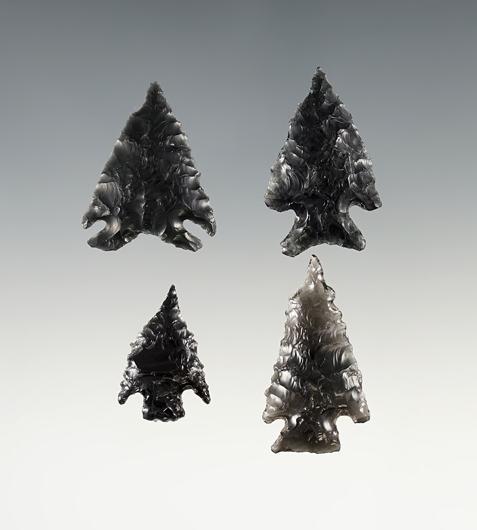 Set of 4 unique Elko points with Mucronate tips. Found in Lake Co., Oregon. The largest is 1 3/8".