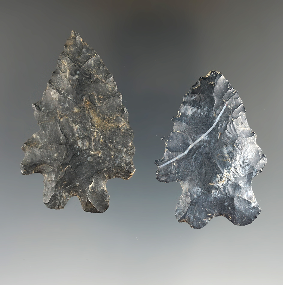 Two extremely thin and highly serrated Ohio Bifurcates. Found in Richland and Morrow Co., Ohio.