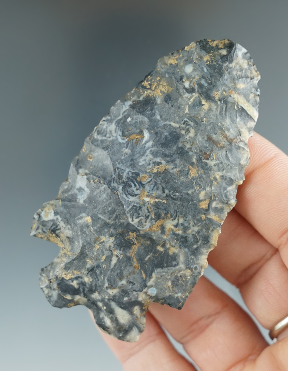 2 15/16" MacCorkle Bifurcate - beautifully mottled Flint Ridge Flint, Richland Co., Ohio.