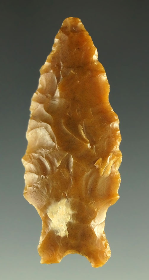 Main artifact image