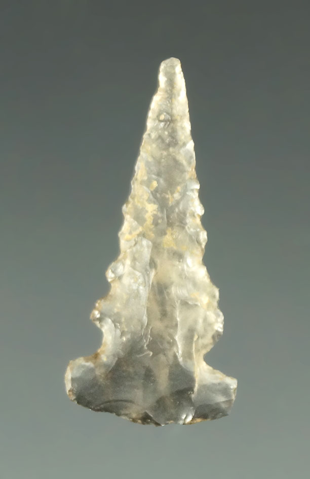 Main artifact image