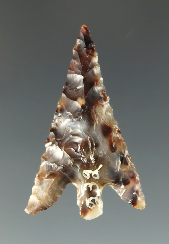 Very colorful 1 1/4" Columbia Plateau found near the Columbia River in Washington.