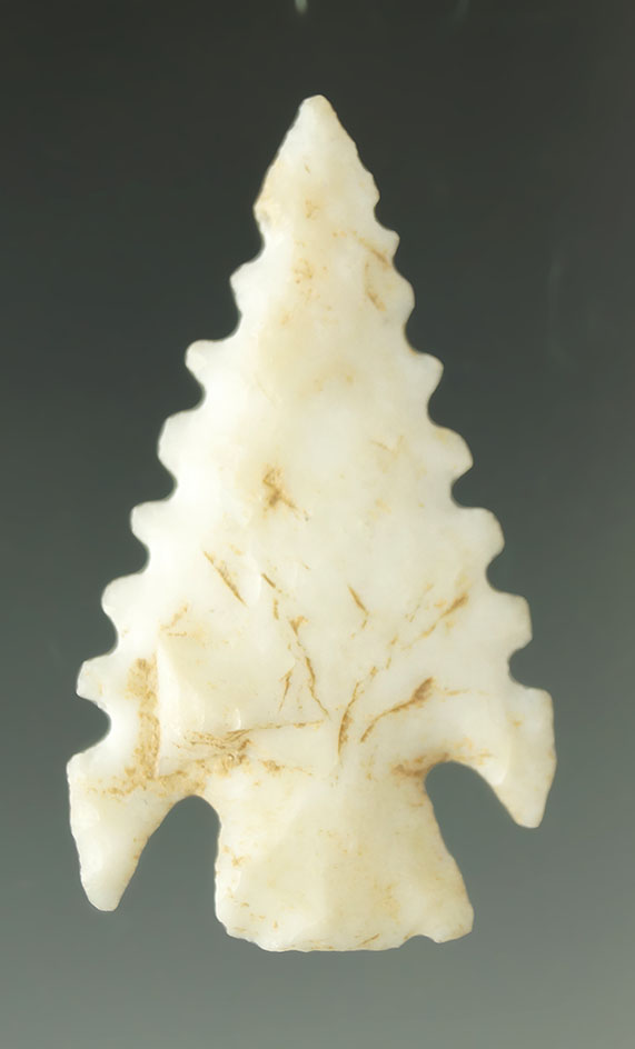 Ex. Museum! Excellent edge serrations and style on this 1 1/2" Shumla point found in Texas.