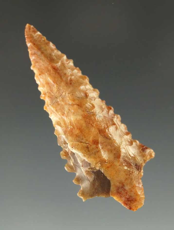 1 13/16" serrated Rabbit Island Dart Point found near Plymouth Washington in 1963.