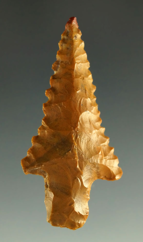 Main artifact image