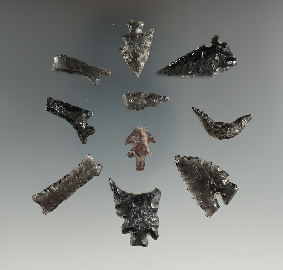 Ten Exotic Obsidian pieces, longest is 1 1/2". Found in the Great Basin, OR.