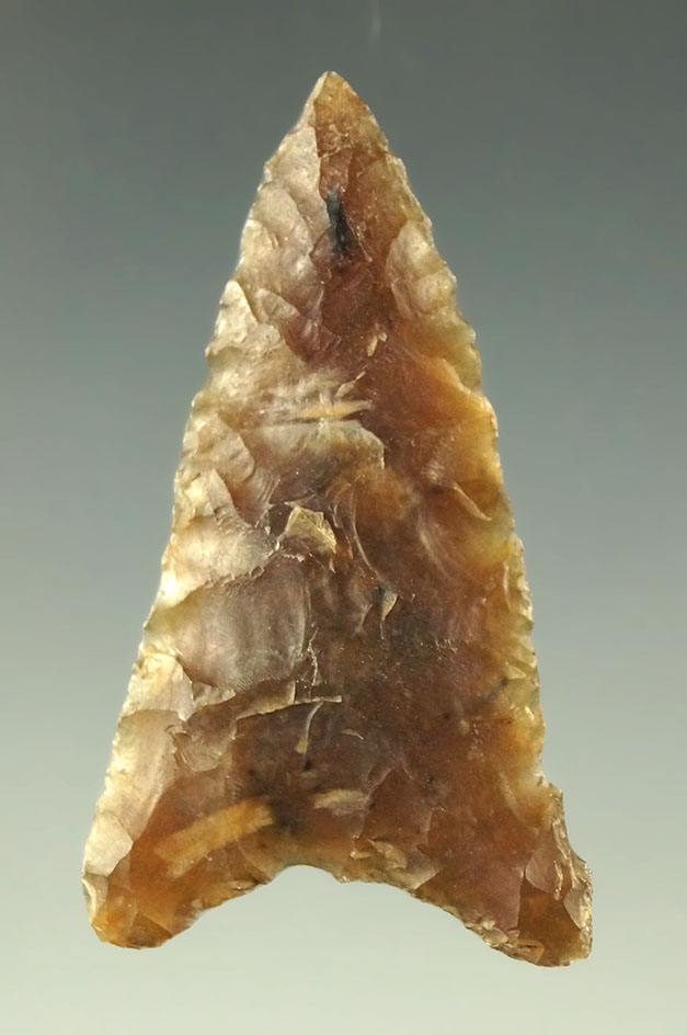 Main artifact image