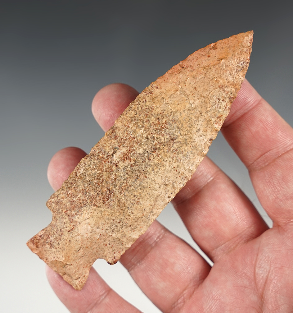Main artifact image