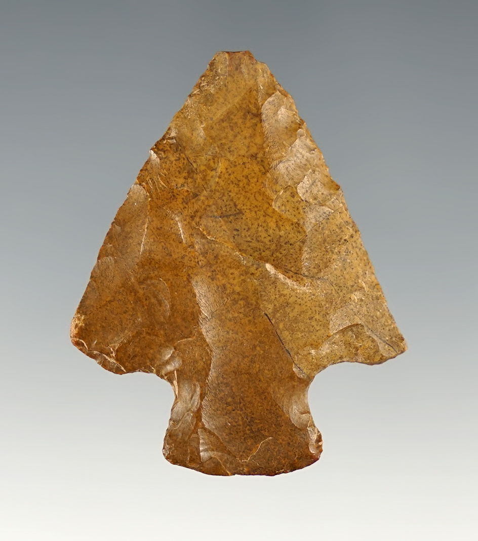 Main artifact image