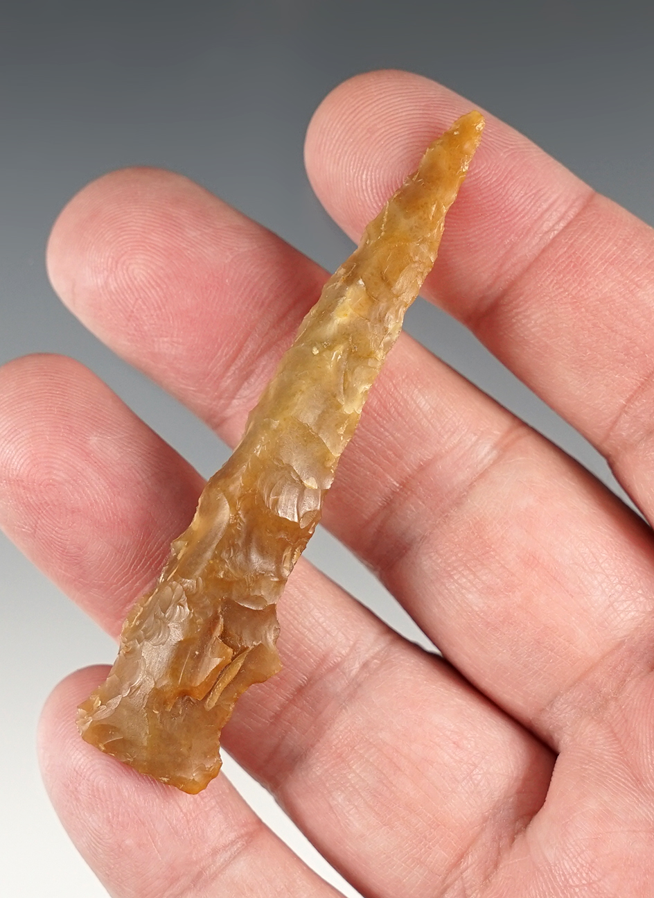 Main artifact image