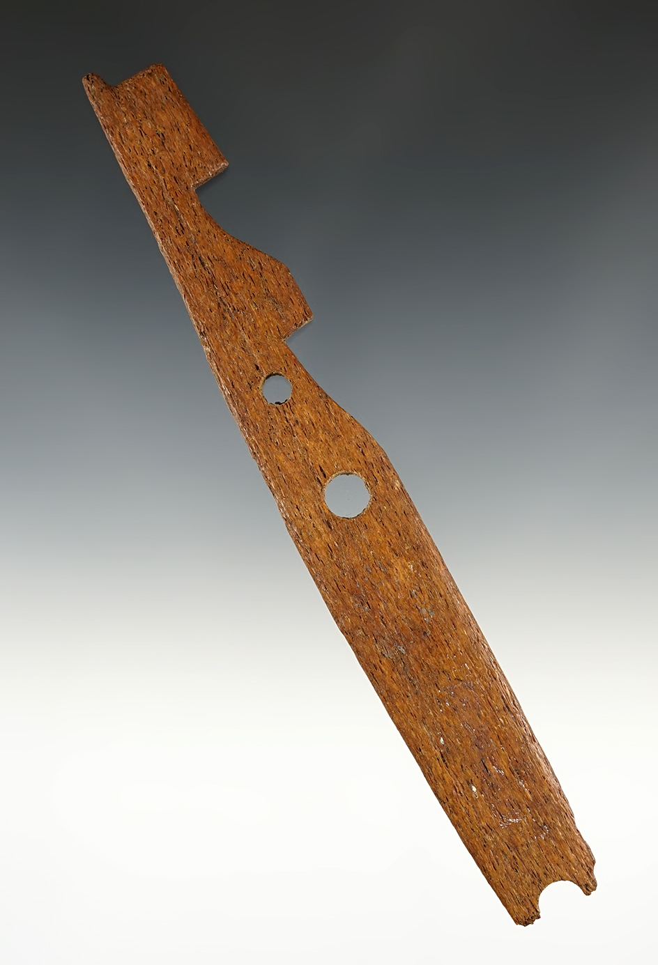 Main artifact image