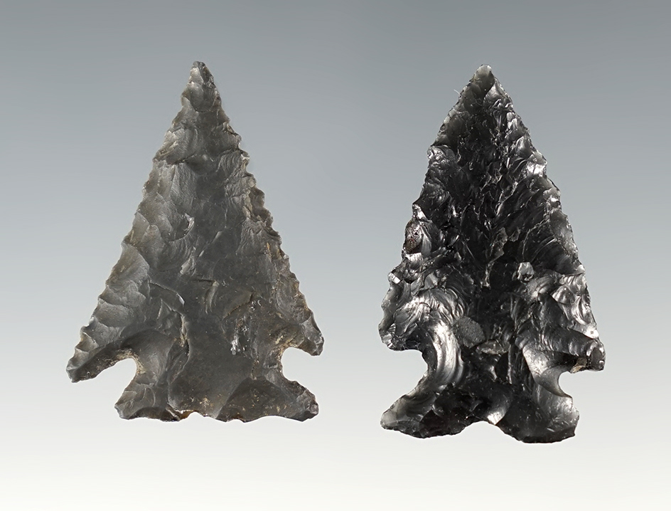 Pair of nice Elko points in great condition. Found in Lake Co., Oregon. The largest is 1 9/16".