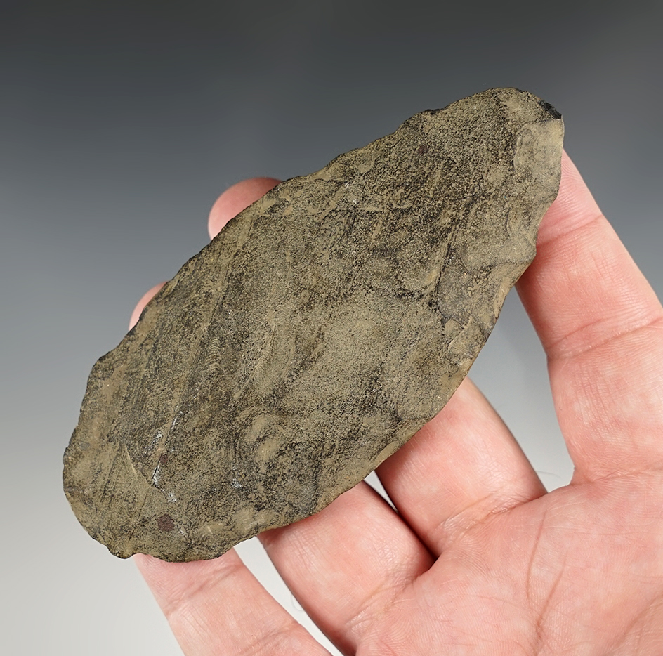 Main artifact image