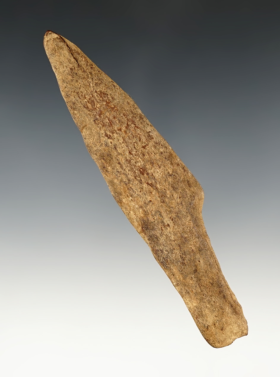 Main artifact image