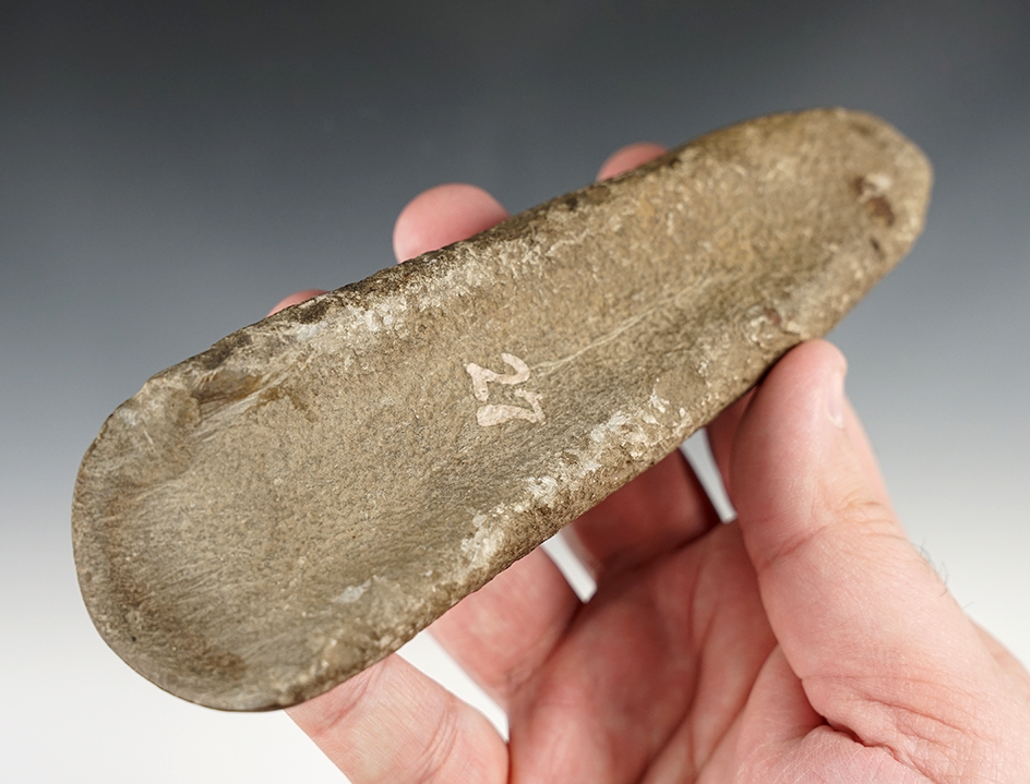 Main artifact image