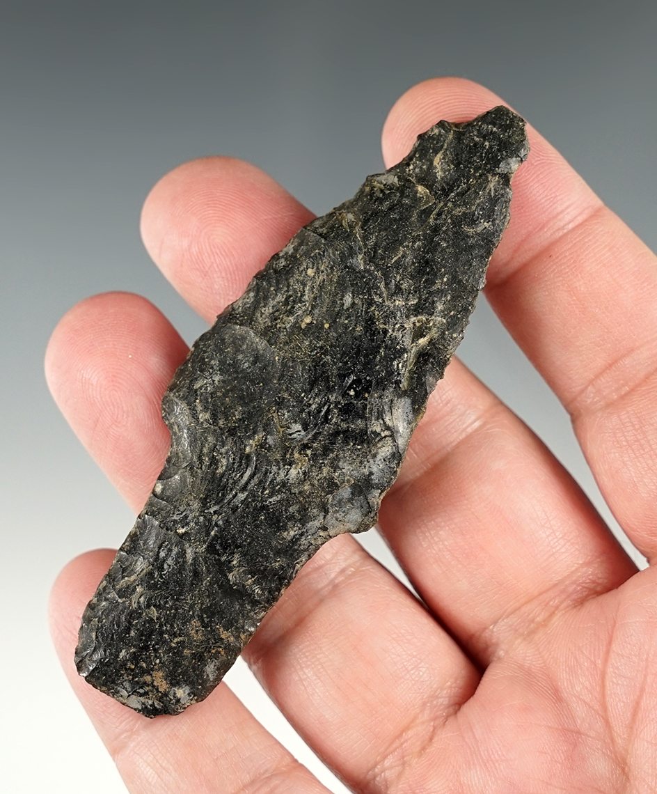 Main artifact image