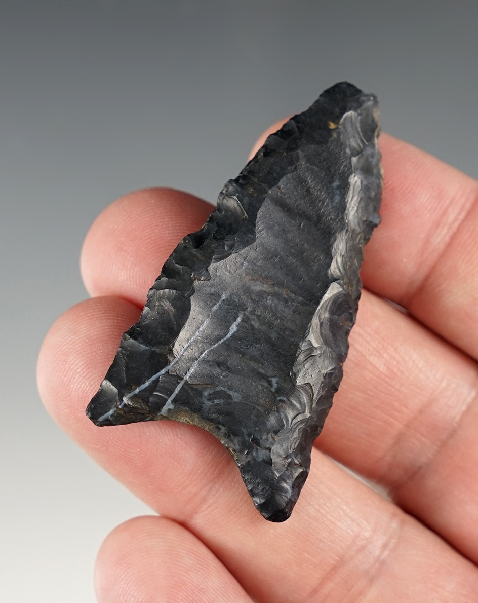 Main artifact image