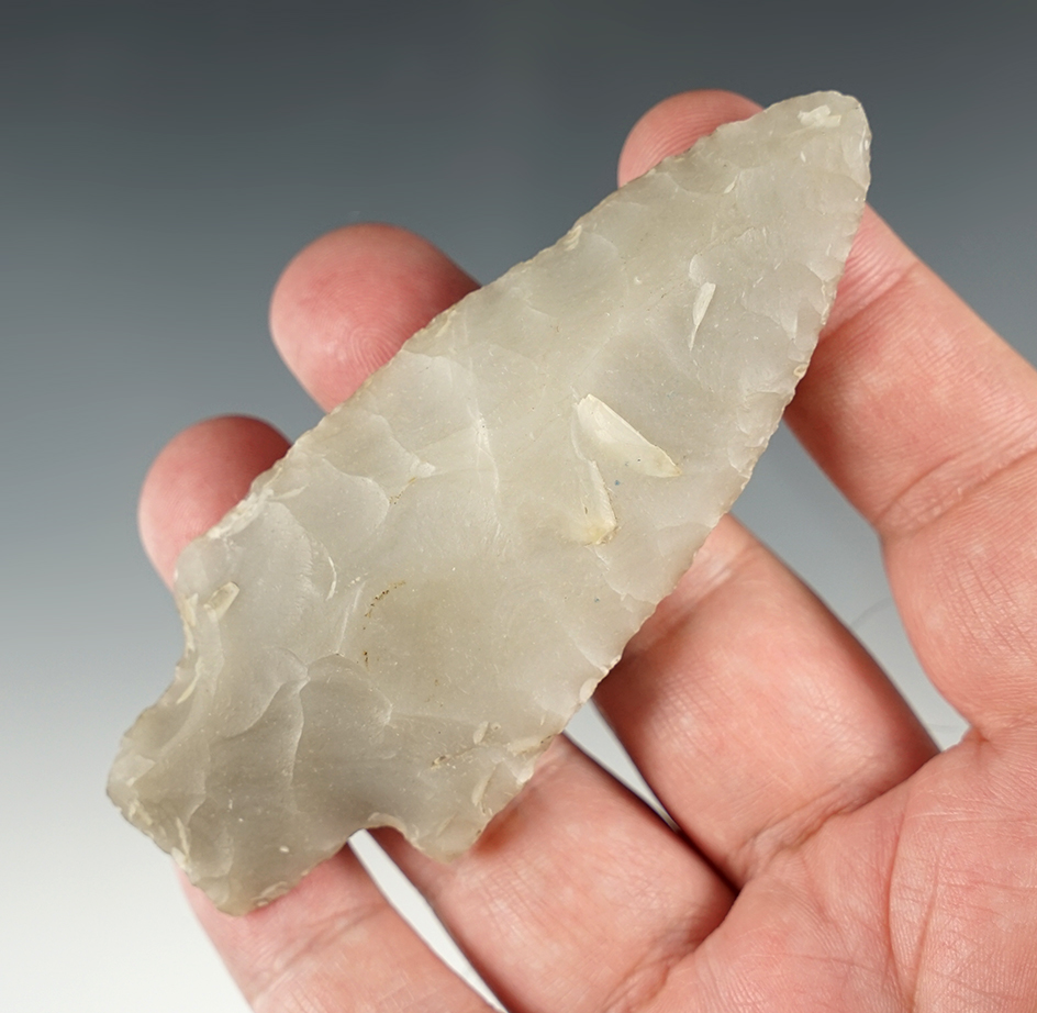 Main artifact image