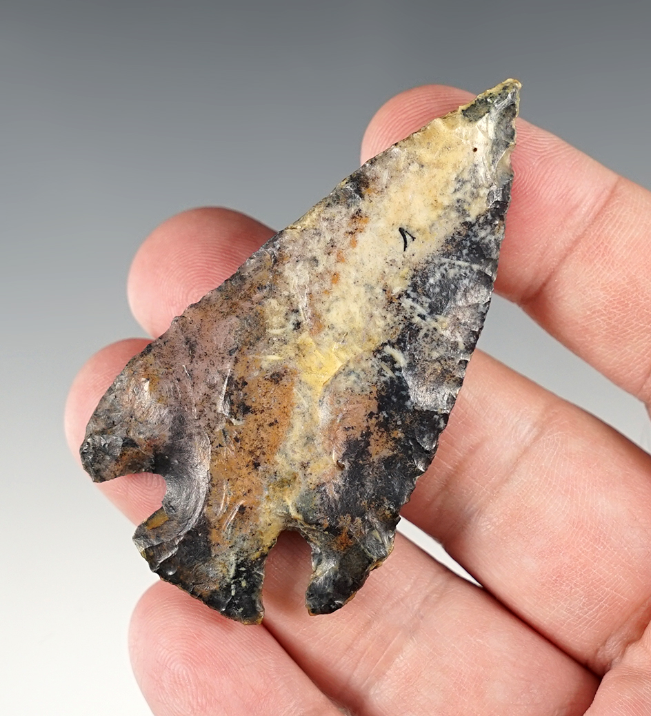 Main artifact image