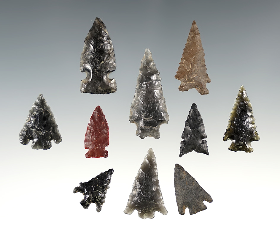 Set of 10 nice points found in Lake Co., Oregon. The largest is 1 9/16".