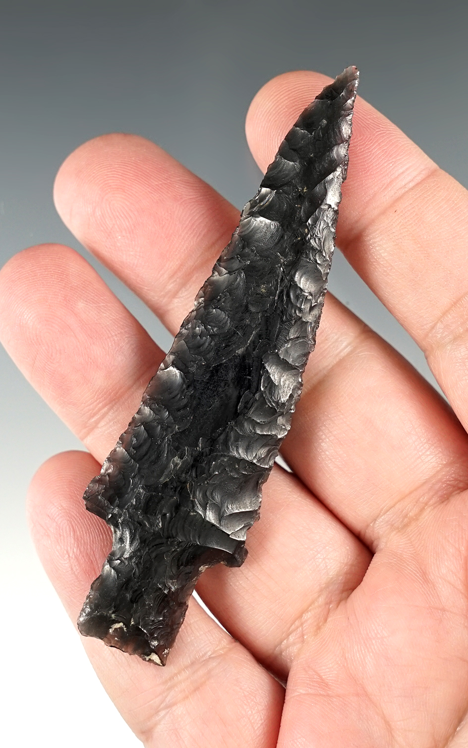 Main artifact image