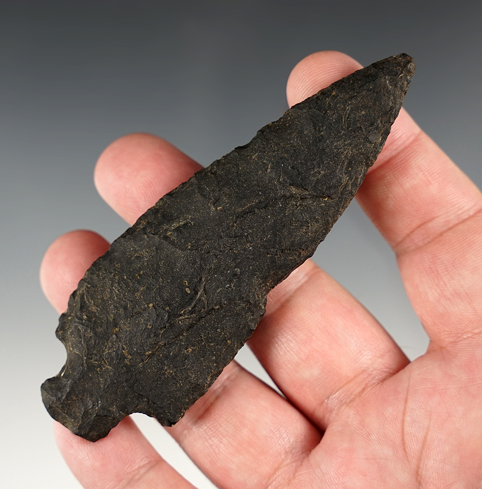 Main artifact image