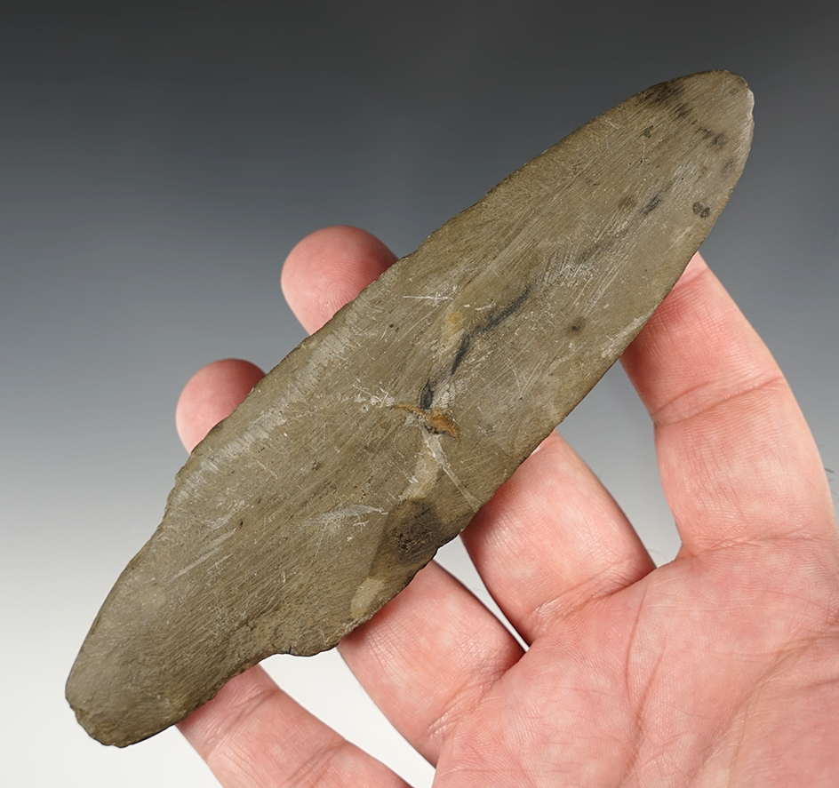 Main artifact image
