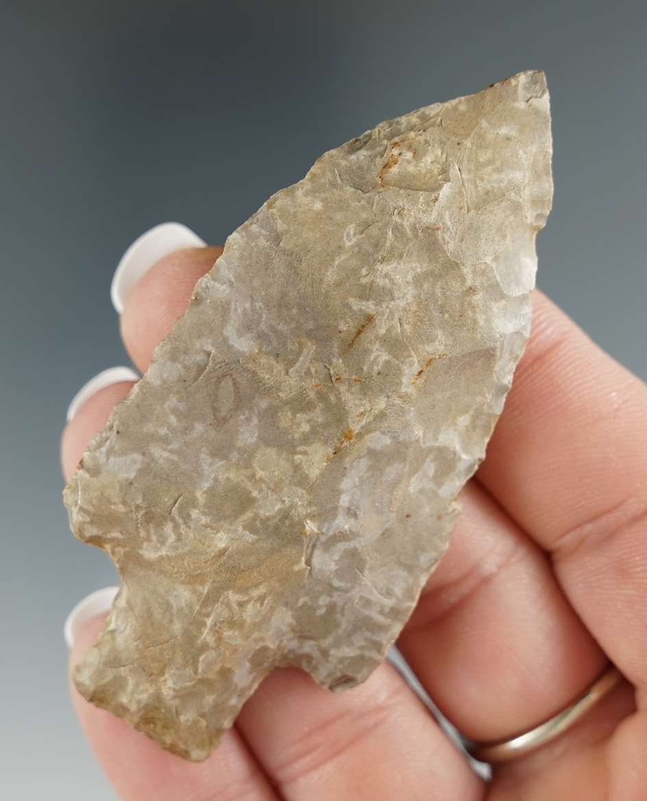 2 7/8" Adena found in Summit Co., Ohio. Ex. Gilbert Dilley.