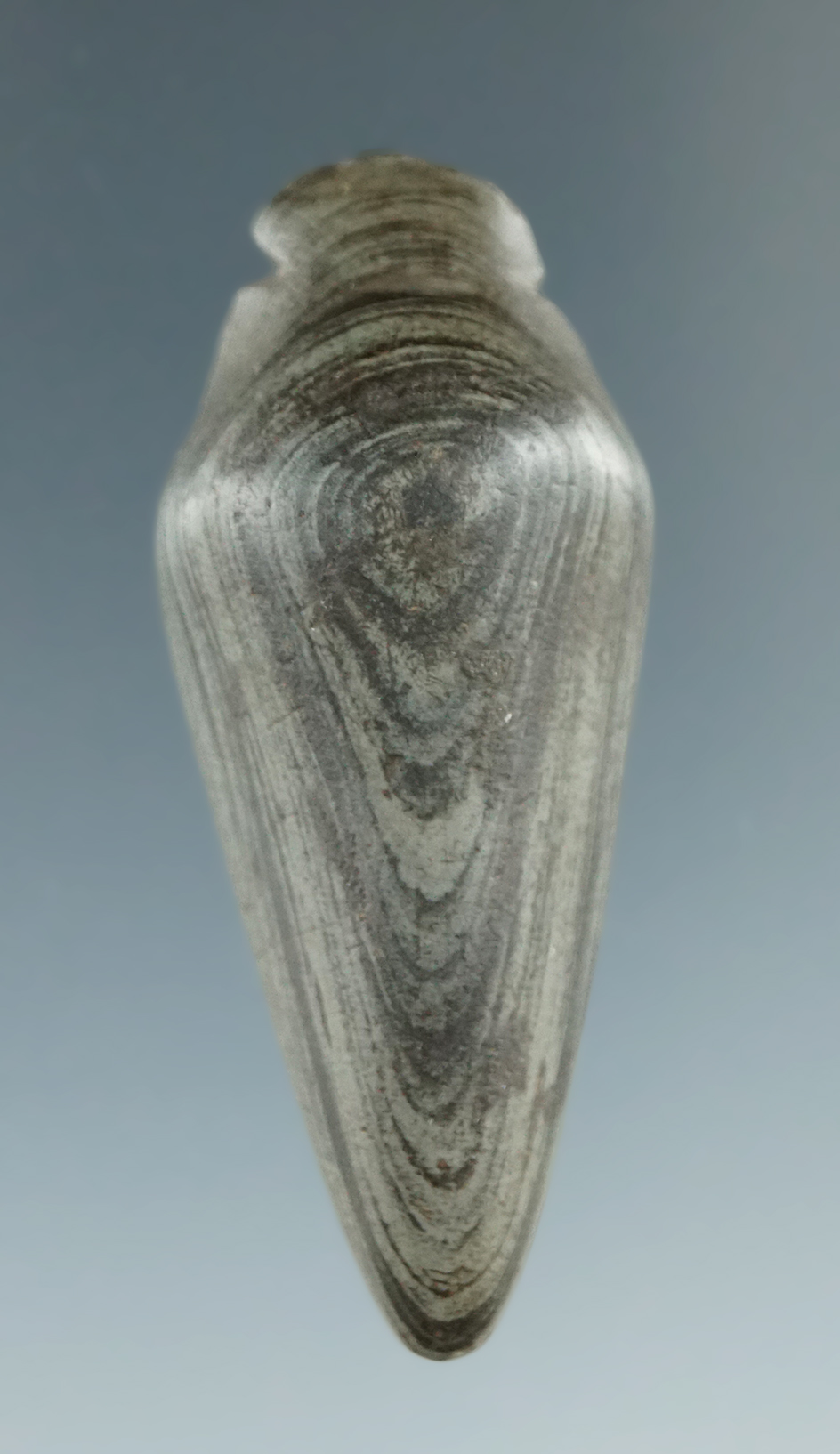 Main artifact image