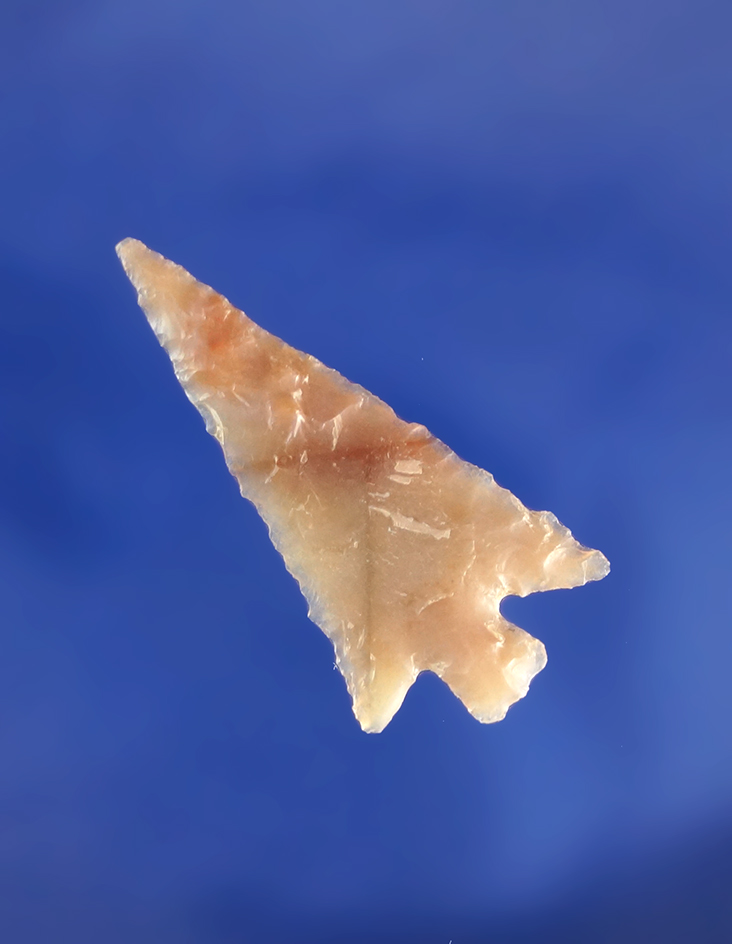 Thin and very well flaked 1 3/16" Columbia Plateau - Columbia River. comes with a Stermer COA