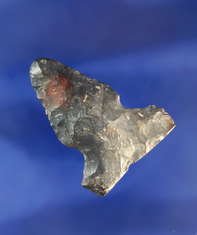 1 11/16" Big Sandy sidenotch found in Ohio.