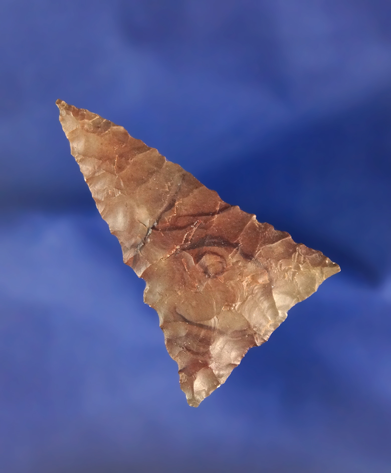 1 9/16" beautifully flaked Triangle point found near the Dalles, Oregon by the Columbia River.