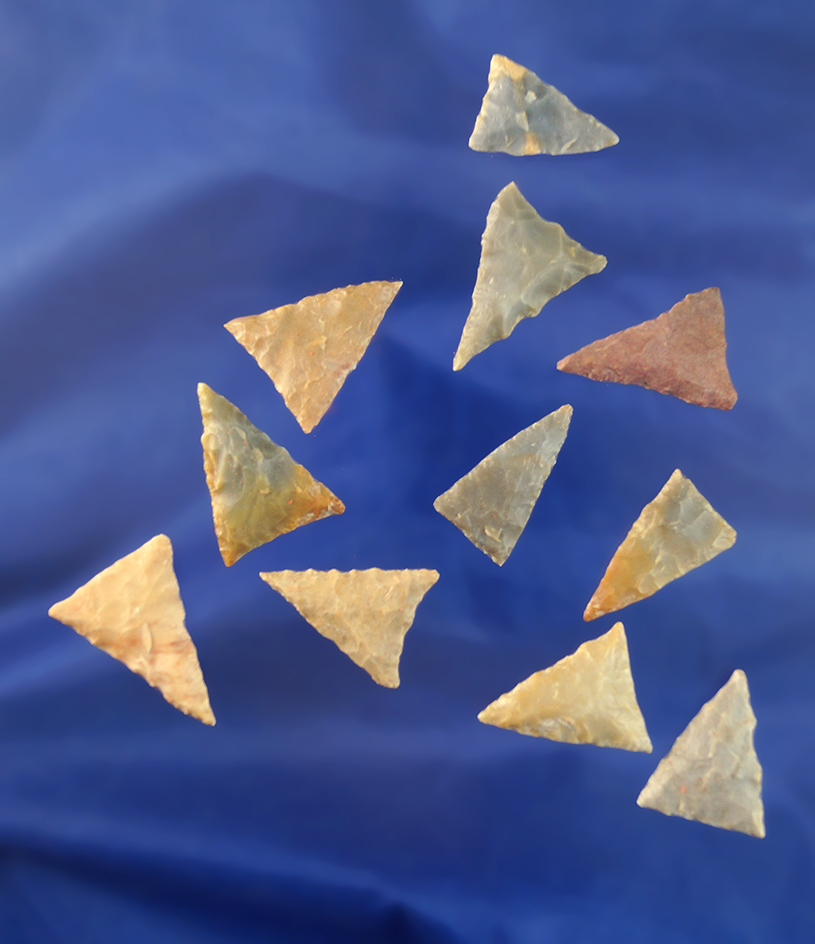 Set of 10 well flaked and nicely styled Triangle Points found in Kentucky. Largest is 15/16".