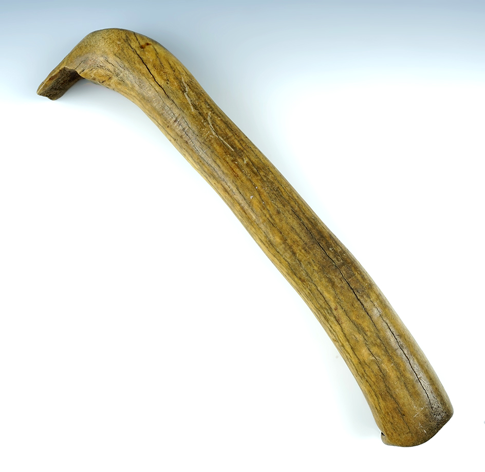 Main artifact image