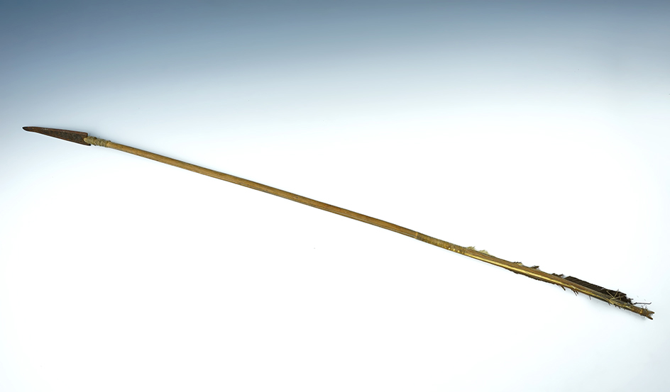 Main artifact image