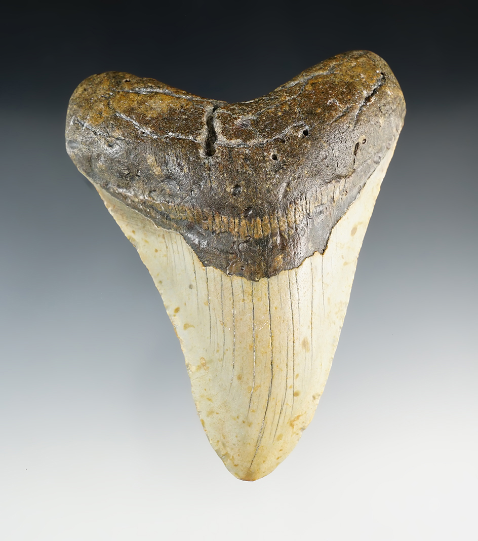 Main artifact image