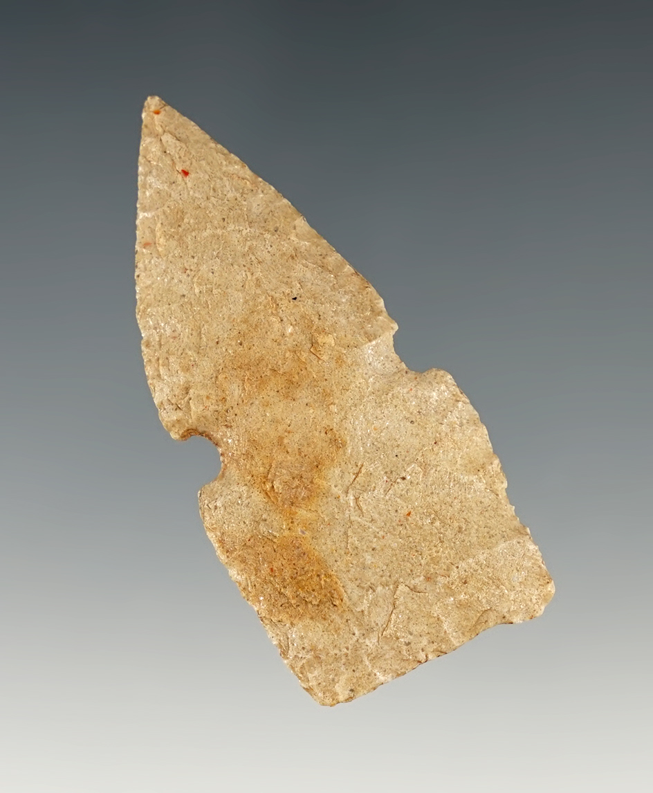 Main artifact image