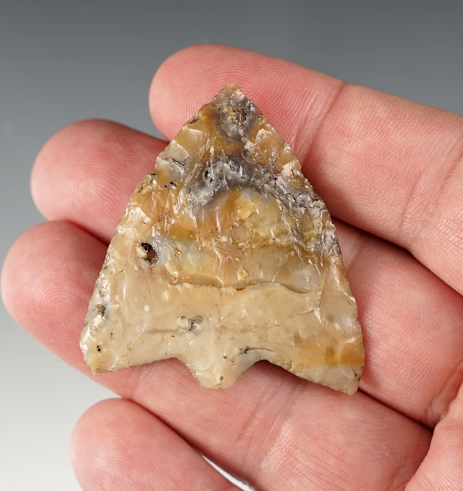 Main artifact image