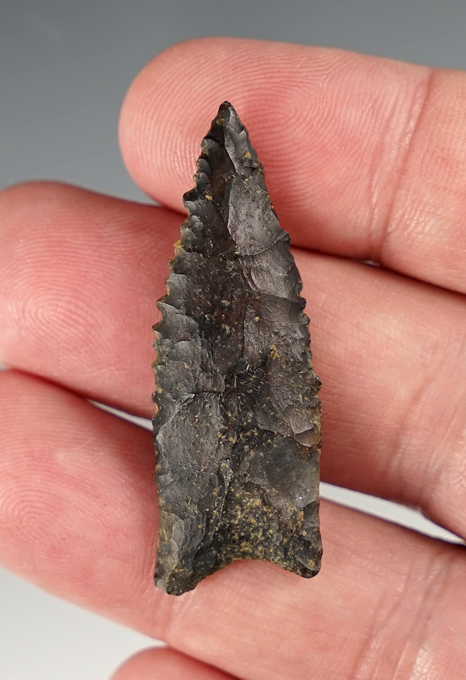 Main artifact image