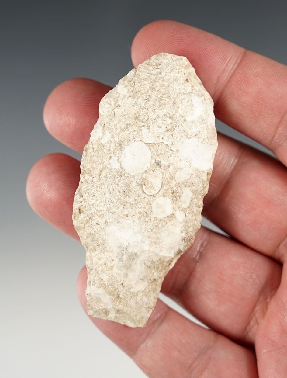 2 3/4" Rio Grande found in Irion Co., Texas. Comes with a Rogers COA.