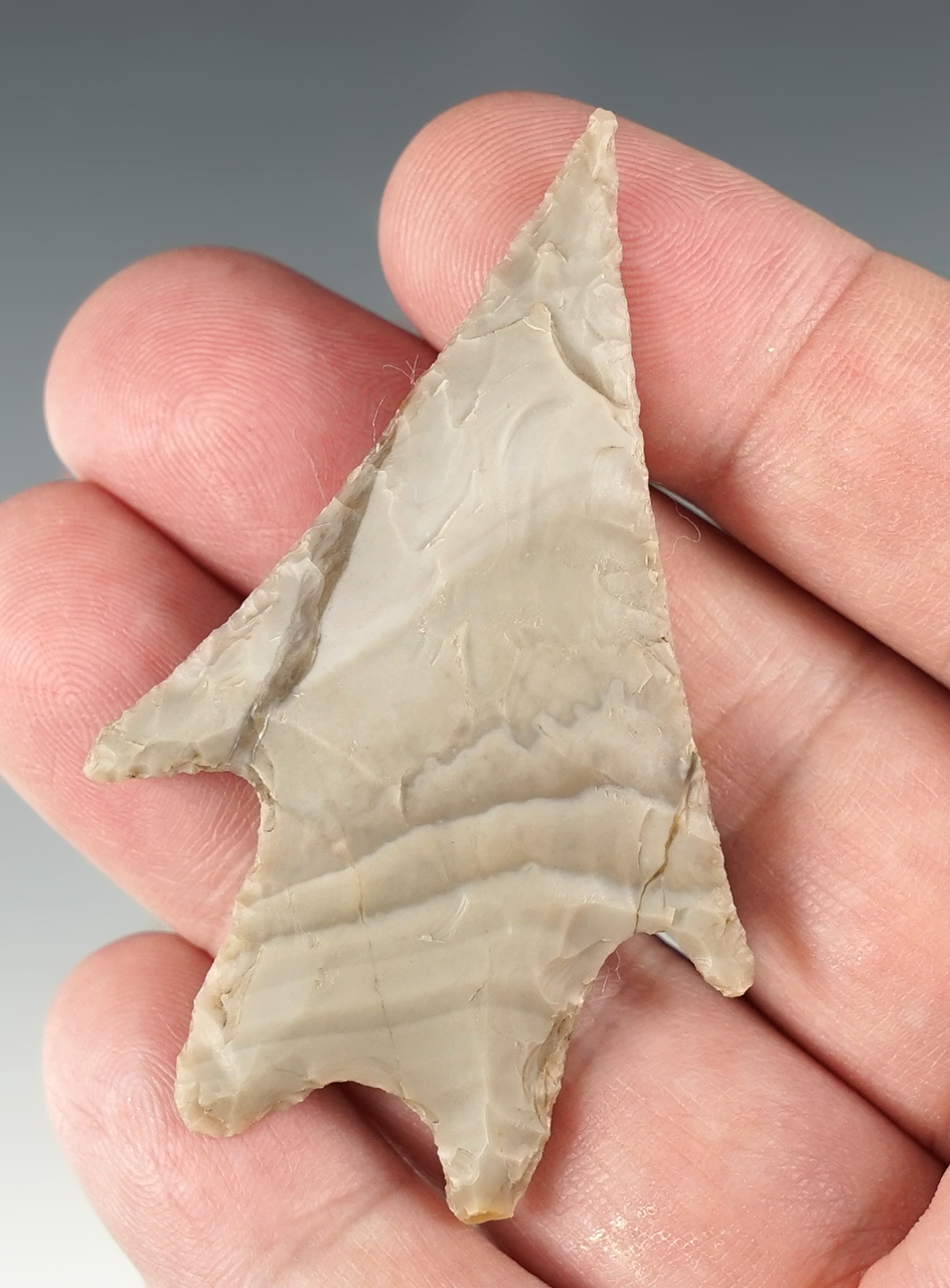 2 9/16" Pendernales with nicely defined shoulders and tip. Found in Edwards Co., Texas. COA.