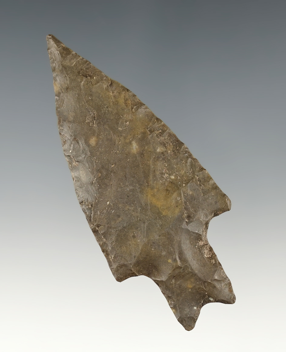 2 15/16" Pedernales found in Texas. Ex. Jerry Sherman collection. COA's