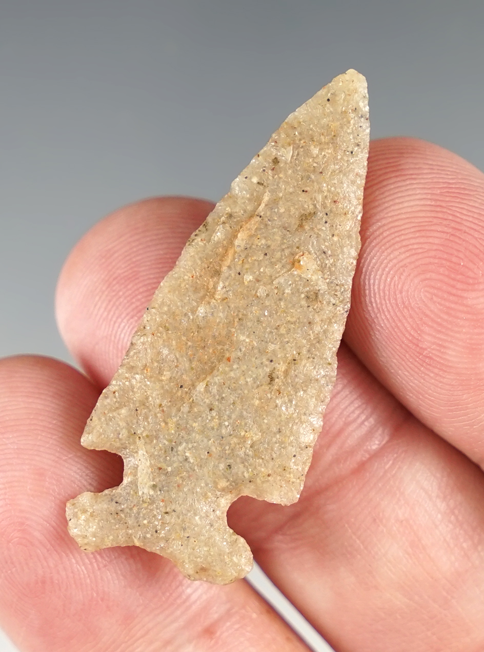 Main artifact image
