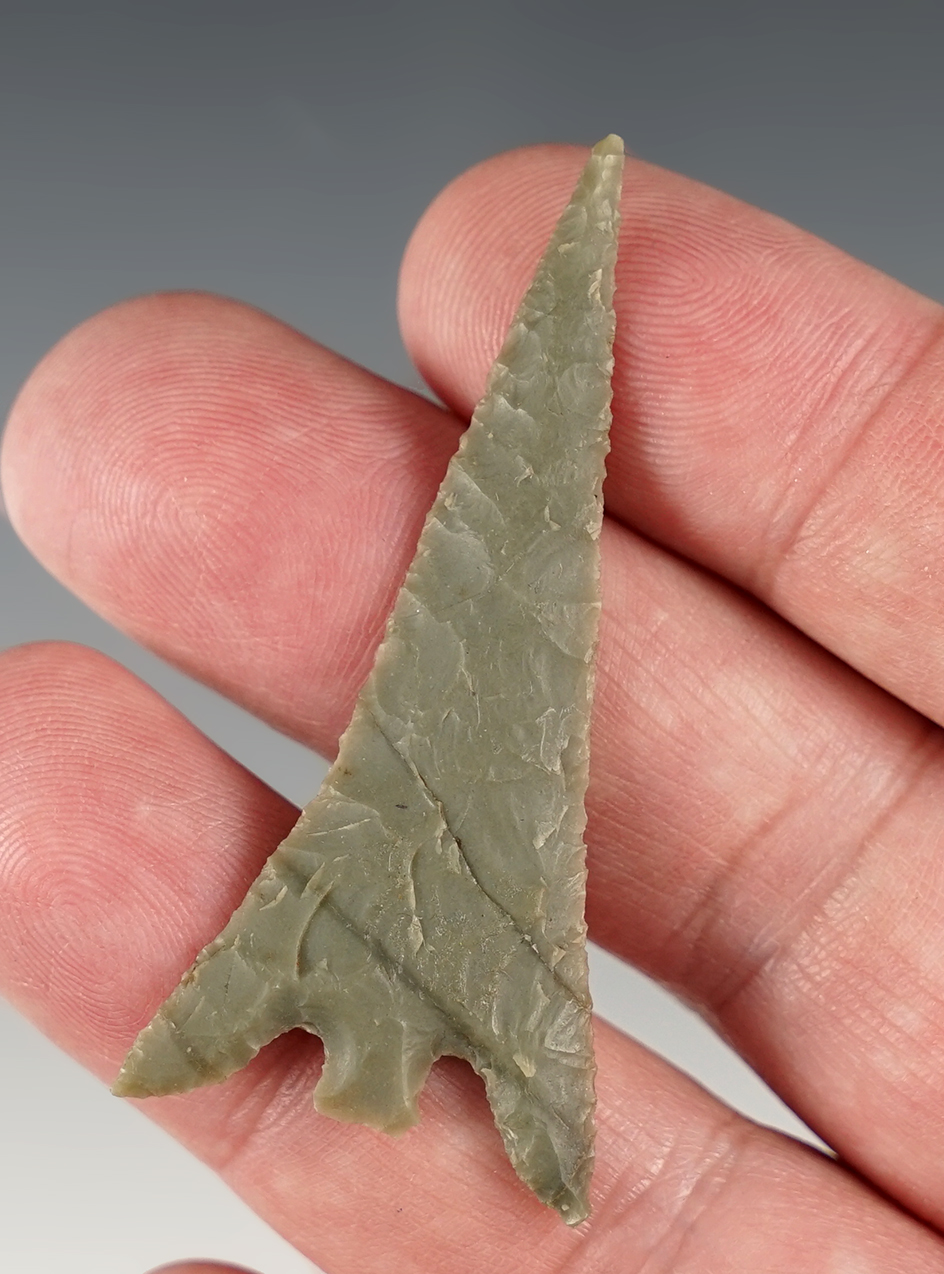 Main artifact image