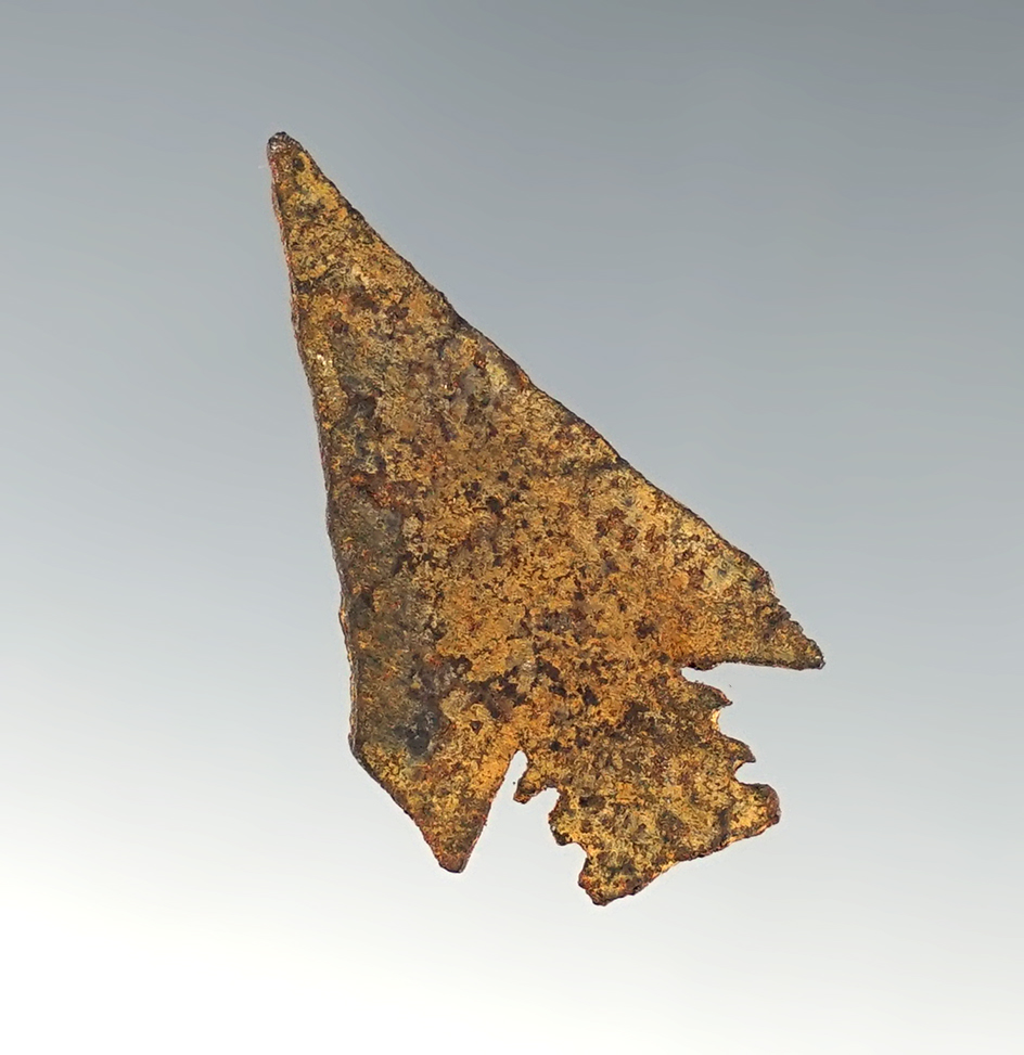 Main artifact image