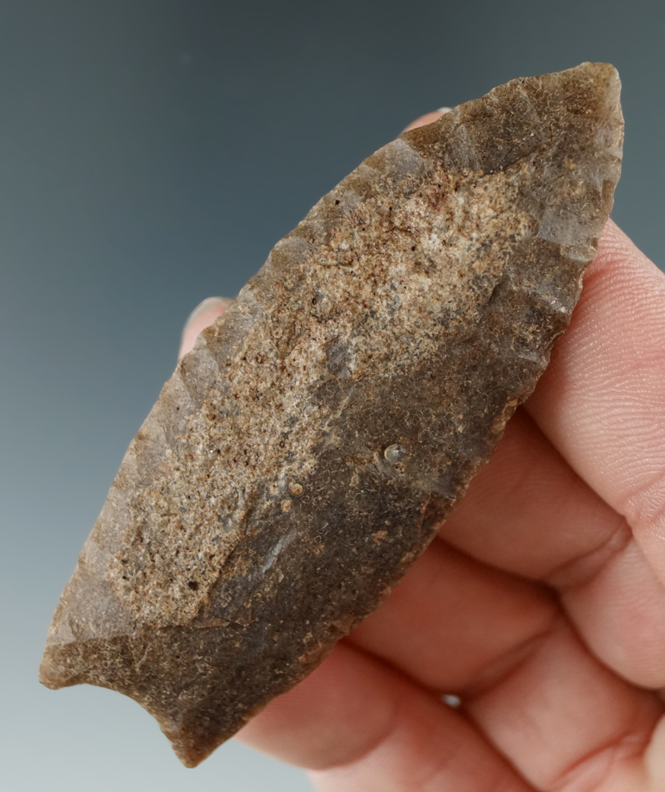 Main artifact image